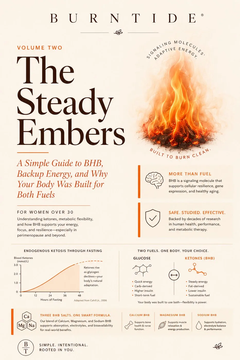 Bonus guide: The Steady Embers